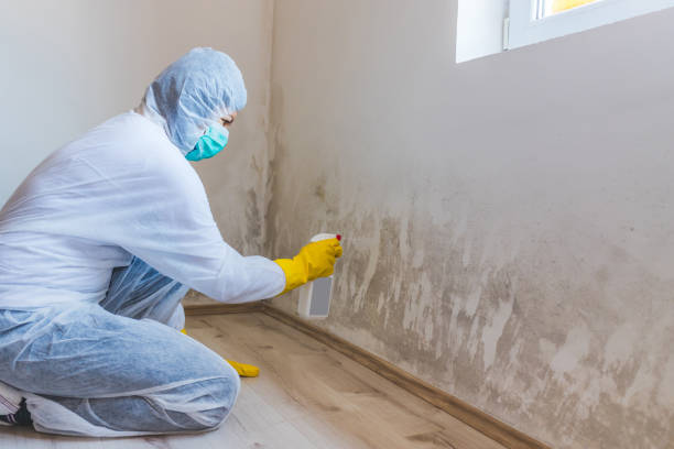 Licensed Mold Removal service in Ramsey, MN - WQB Mold Removal