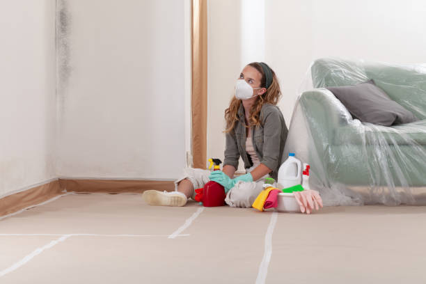 Reliable Mold Removal contractor in Ramsey, MN by WQB Mold Removal